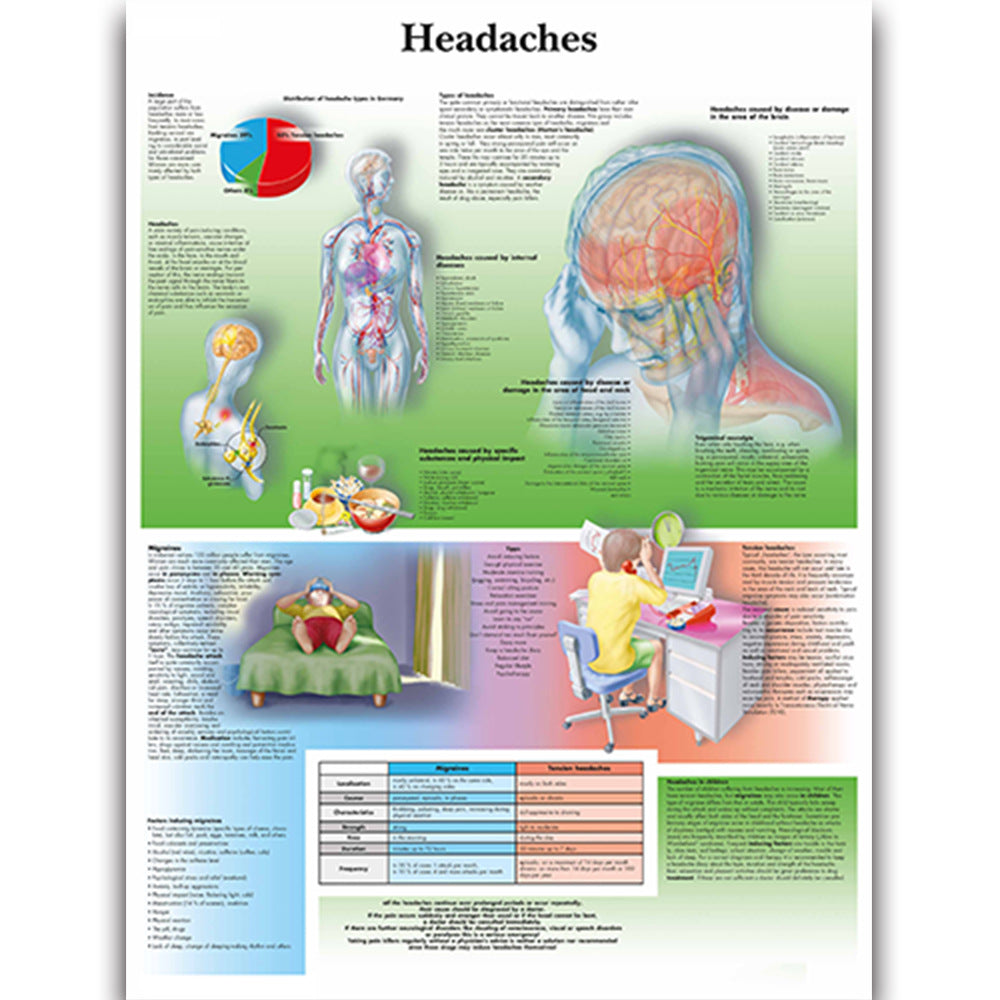 Headaches disease Chart - Dr Wong Anatomy