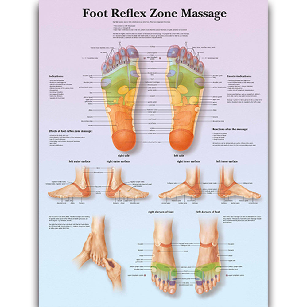 Foot Reflex Zone Massage Chart - Dr Wong Anatomy