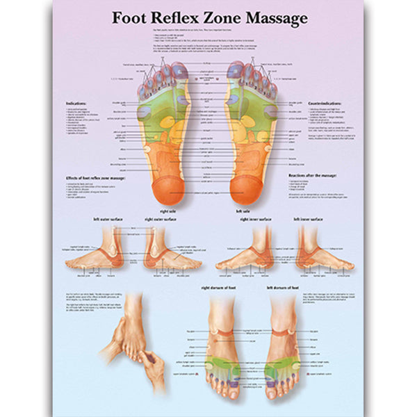 Foot Reflex Zone Massage Chart - Dr Wong Anatomy