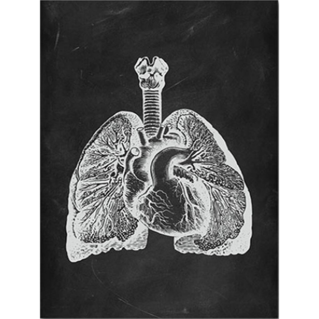 Anatomy Art Print - Lung