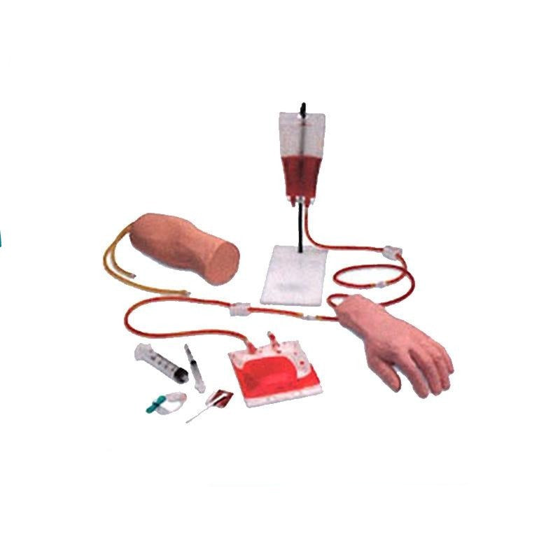 Portable IV Arm and Hand Trainers - Dr Wong Anatomy