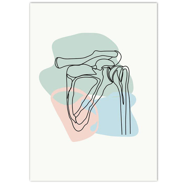 Anatomy Art Print - Shoulder