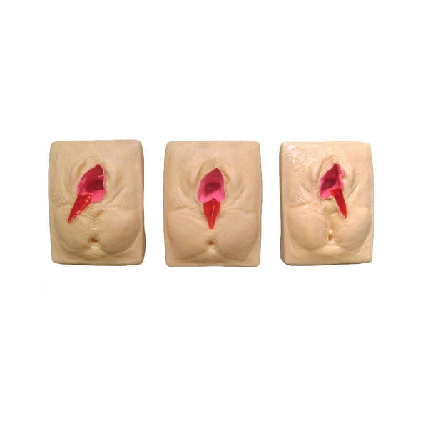 Episiotomy Suturing Simulators, Set of 3 - Dr Wong Anatomy