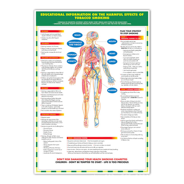 Educational Infomation on the Harmful Effects of Tobacco Smoking Chart - Dr Wong Anatomy