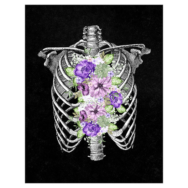 Anatomy Art Print - Rib Cage