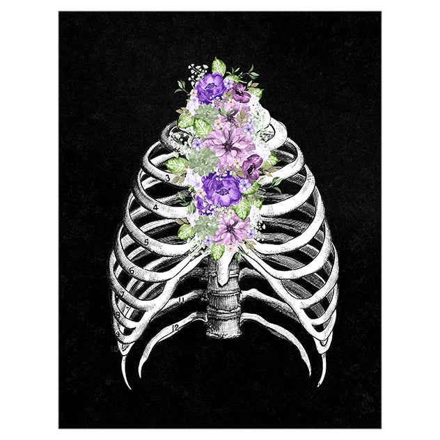 Anatomy Art Print - Rib Cage