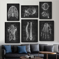 Brain Anatomy Print - Dr Wong Anatomy Chart
