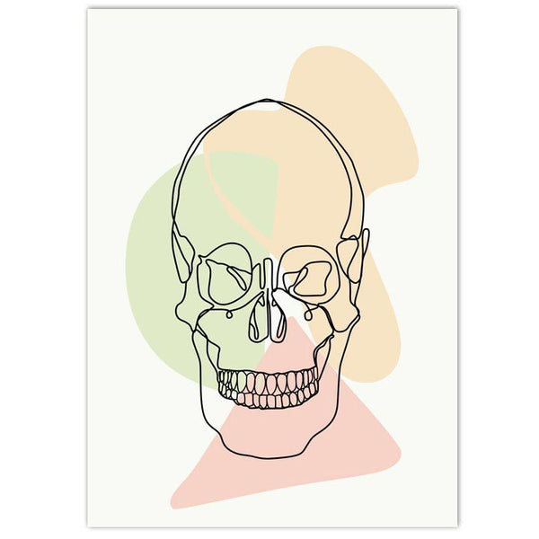 Anatomy Art Print - Skull