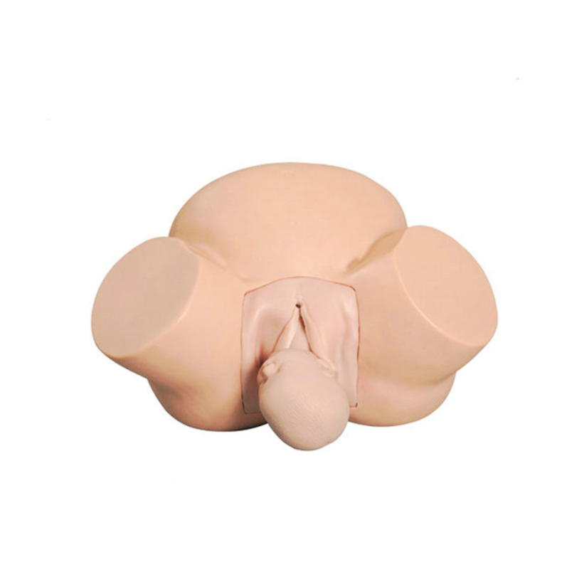 Advanced Childbirth Simulator with fetus placenta for obstetrics