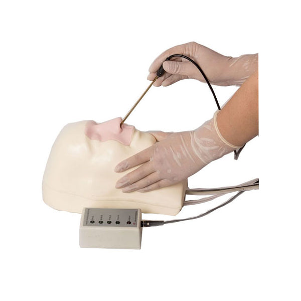 Nose Bleed - Epistaxis Trainer - Dr Wong Anatomy