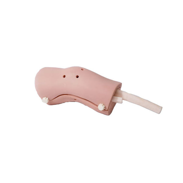  Knee Joint Arthroscopy Simulator - Dr Wong Anatomy