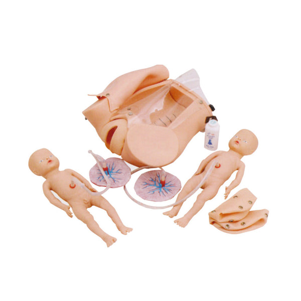 Childbirth Skills Trainer - Dr Wong Anatomy