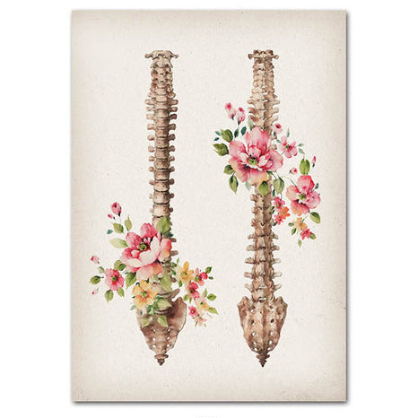 Anatomy Art Print - Spine