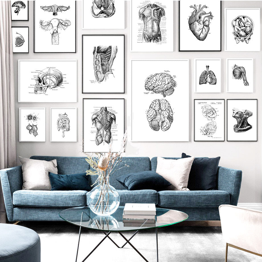 Anatomy Art Print - Digestive System