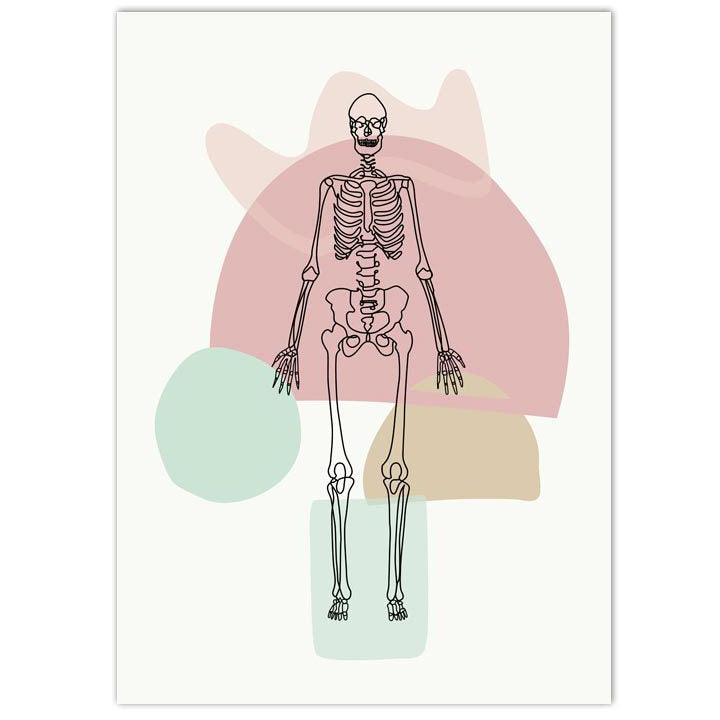 Anatomy Art Print - Skeleton