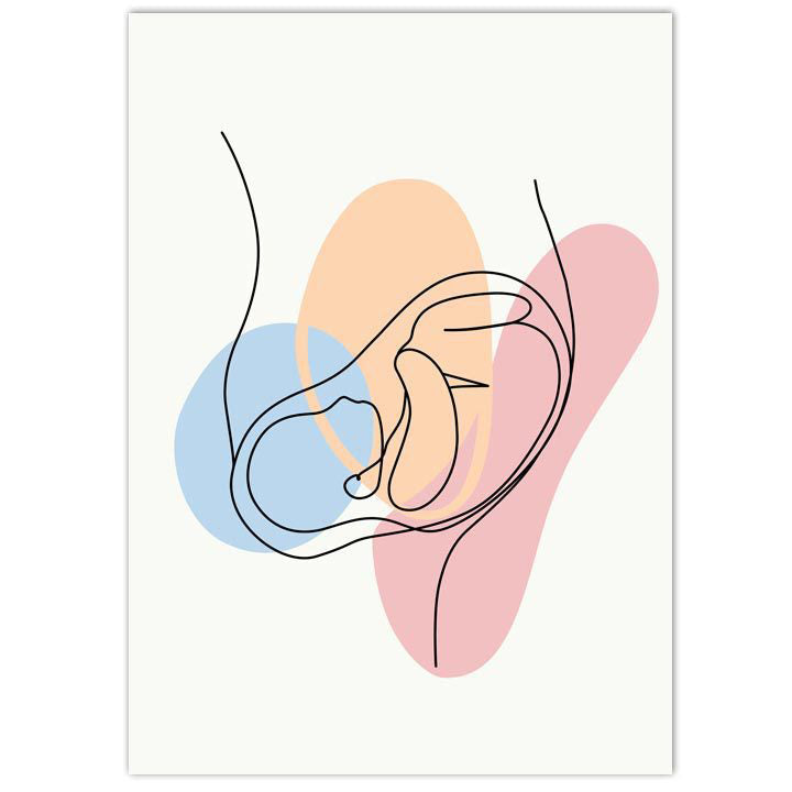 Anatomy Art Print - Fetus