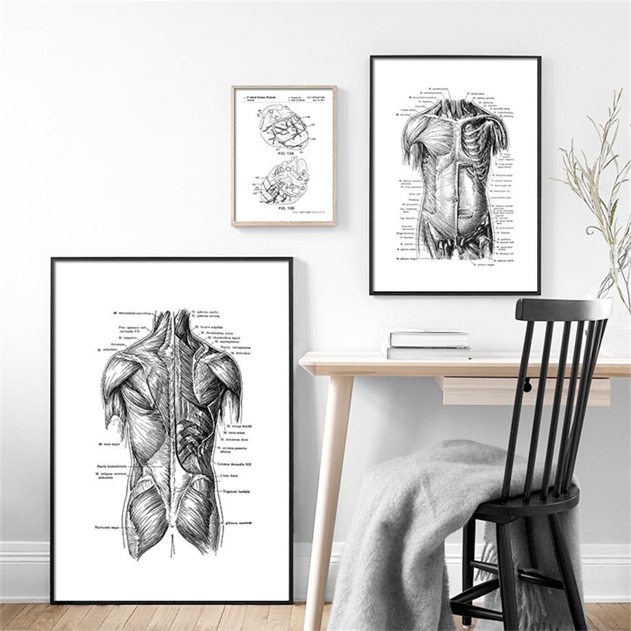Anatomy Art Print - Digestive System