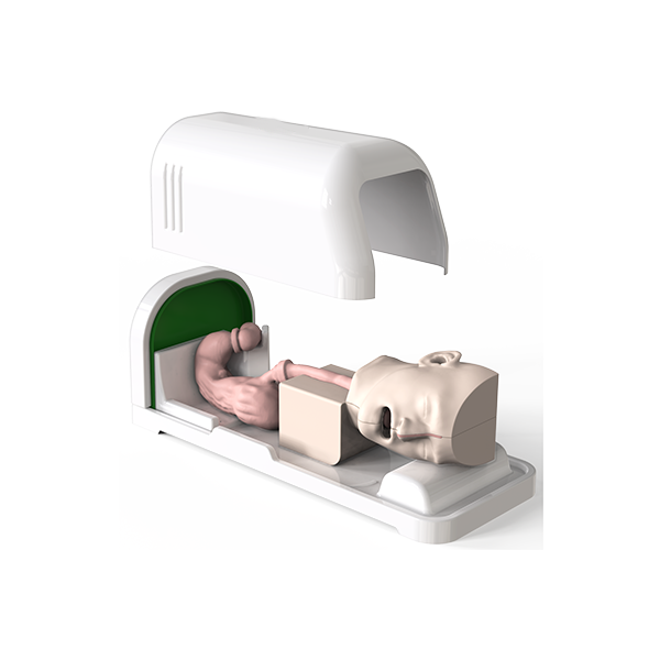 EGD (Esophago-Gastro-Duodenoscopy) Simulator - Dr Wong Anatomy