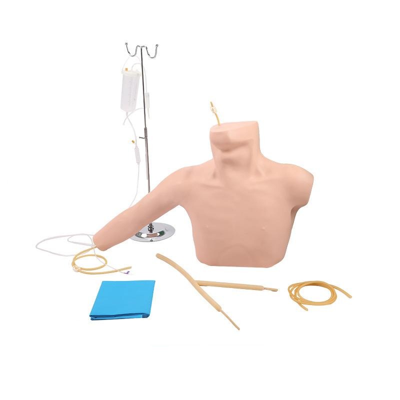 PICC Line Trainer - Dr Wong Anatomy