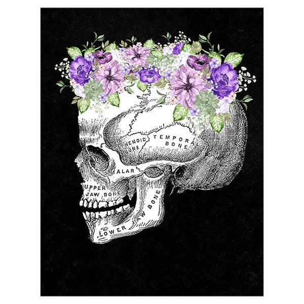Anatomy Art Print - Skull