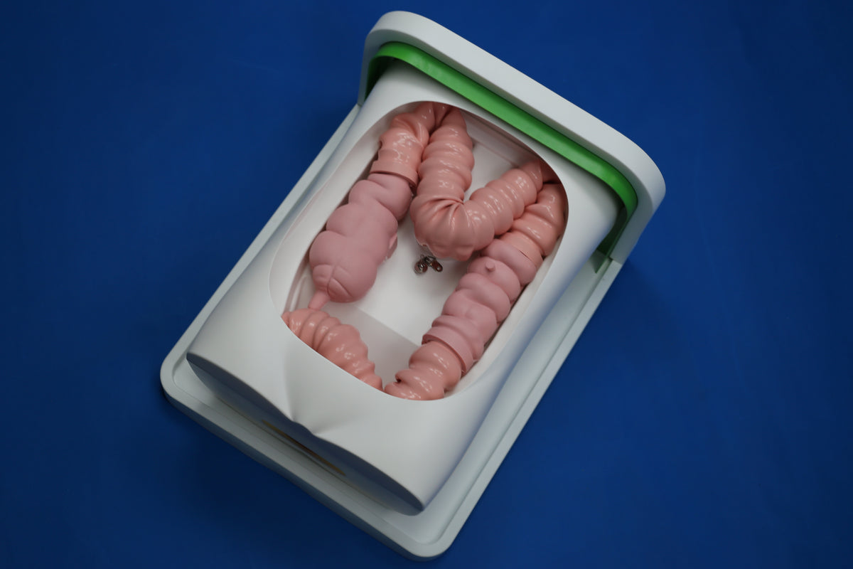 Colonoscopy Training Model