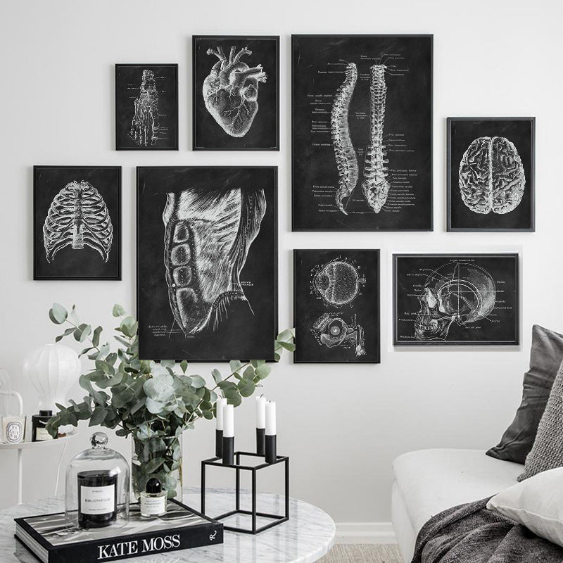Brain Anatomy Print - Dr Wong Anatomy Chart