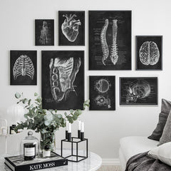 Brain Anatomy Print - Dr Wong Anatomy Chart