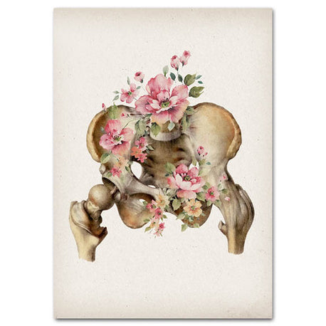 Anatomy Art Print - Pelvis