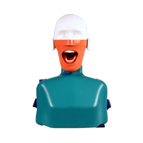 Dental Manikin with Belt fixed on Chair