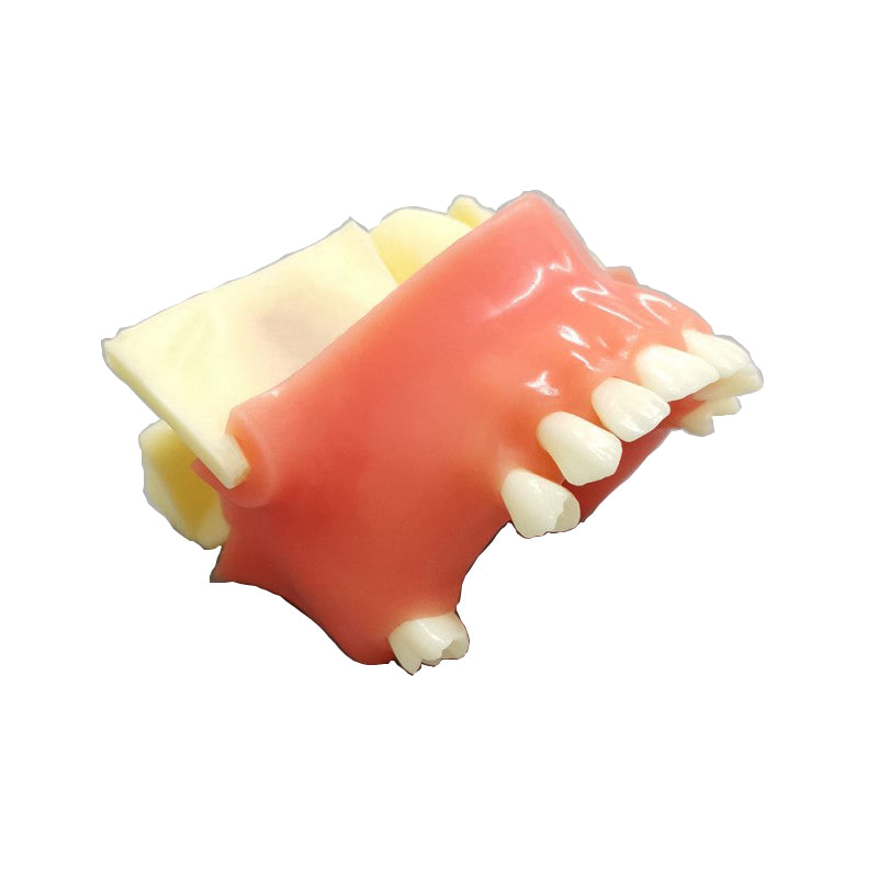 Maxillary Sinus Training Model for Dental Implant Practice