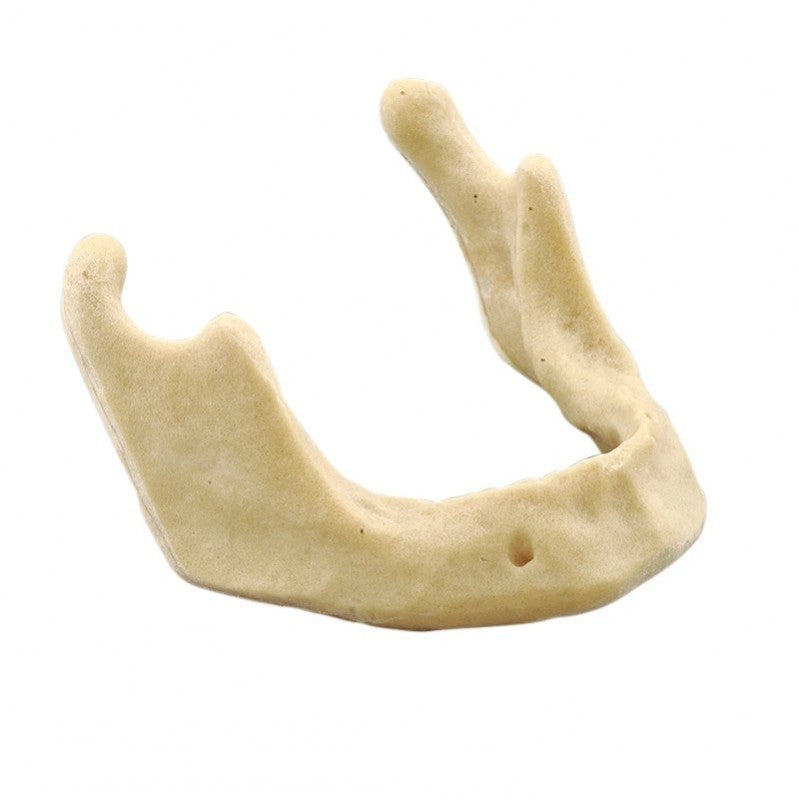 Dental Drilling Practice Model Lower Jaw