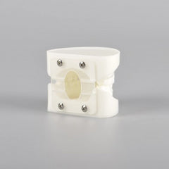 Natural Size Dental Model with Red or White Color