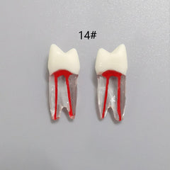Dental Root Pulp Cavity Model for Training and Practice