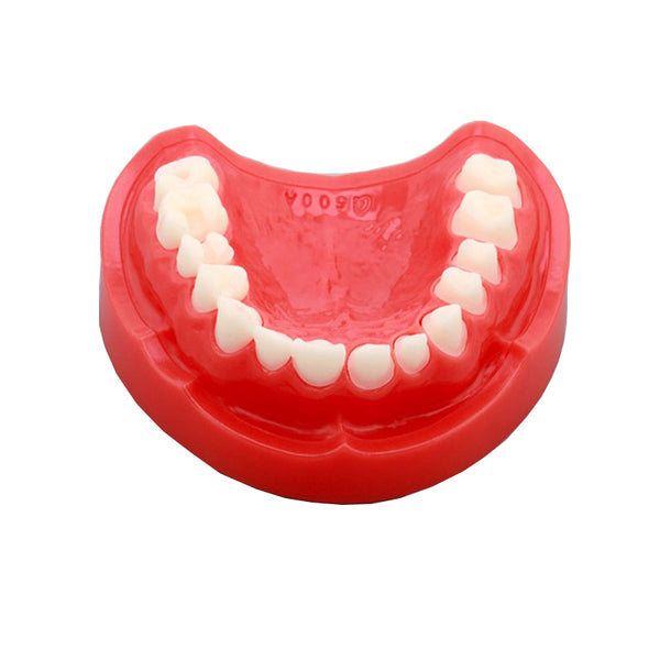  Preparation Model for Practice