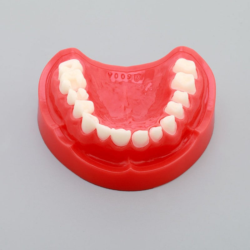  Preparation Model for Practice