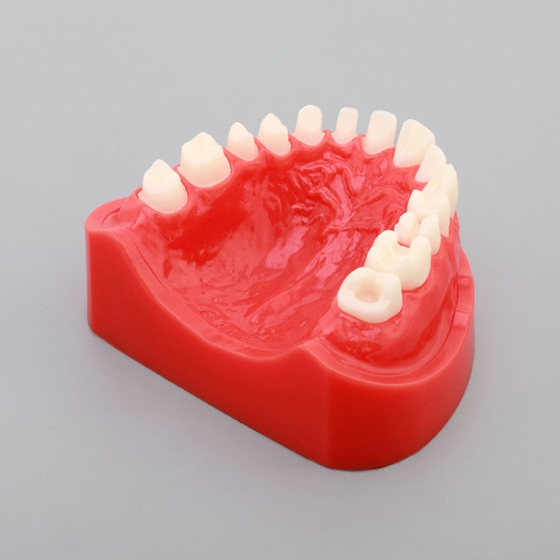  Preparation Model for Practice